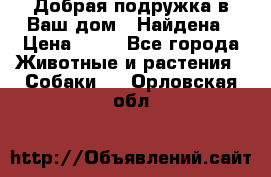 Добрая подружка,в Ваш дом!!!Найдена › Цена ­ 10 - Все города Животные и растения » Собаки   . Орловская обл.